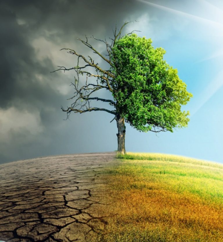 تغيرات المناخ العالمية تجر المغرب إلى سنة 2026 بسيناريوهات الجفاف