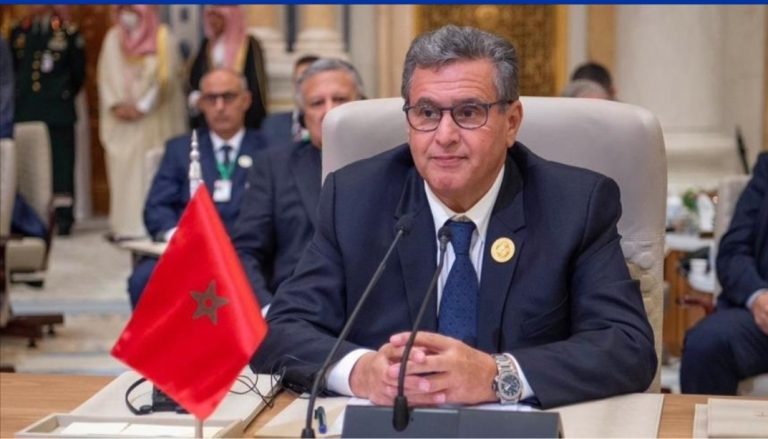 المعارضة تدعو الحكومة إلى تسريع وتيرة الإصلاحات وتعزيز التنمية في الأقاليم الجنوبية