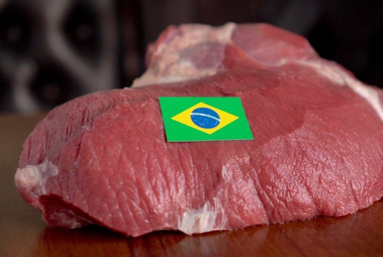 البرازيل تفضح مافيا استيراد اللحوم ونوم الدولة بالمغرب !
