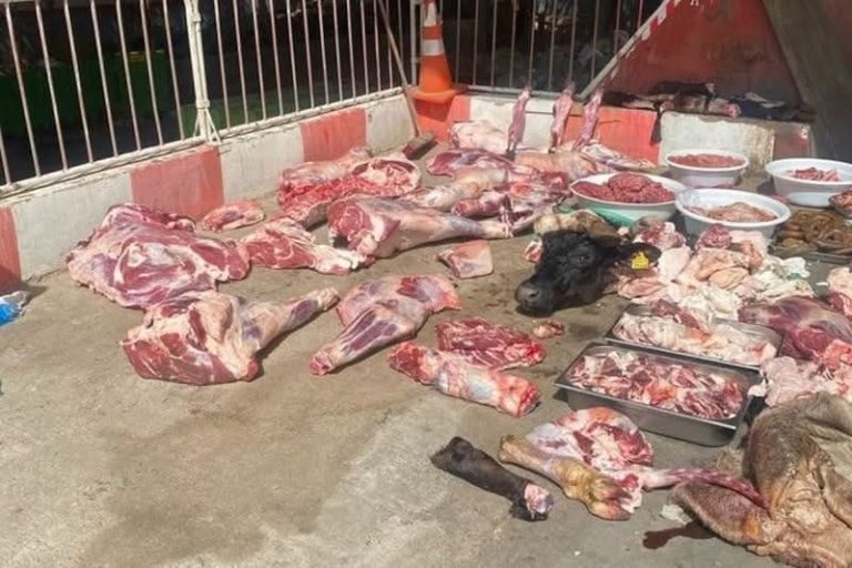 البرادية: الدرك الملكي يحجز 150 كلغ من اللحوم الفاسدة ويفتح ملف “أمن المستهلك” من جديد
