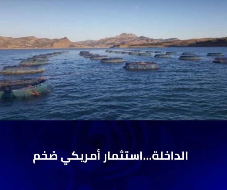 المجموعة الأمريكية TerraFuturo Aquafarms تستثمر بمدينة الداخلة