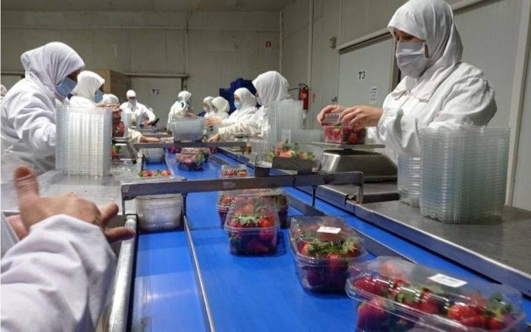 المنتجات الفلاحية المغربية تغضب المزارعين الإسبان من الاتفاق مع بروكسل