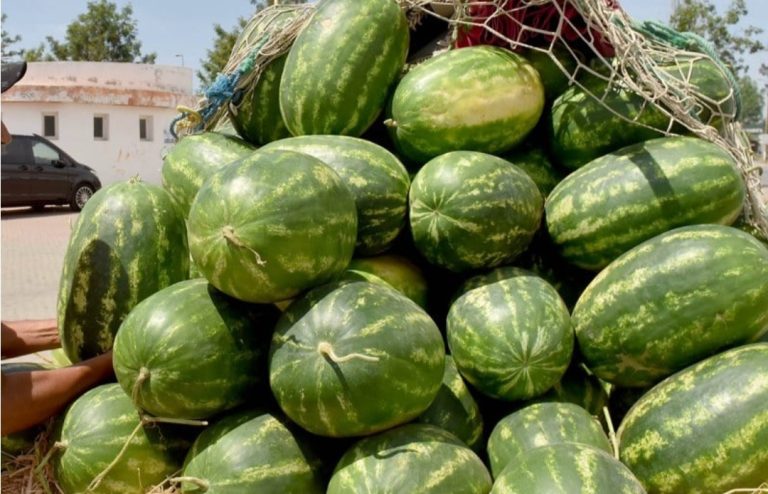 الاستياء يعم مصدري “دلاح موريتانيا” بسبب ارتفاع رسوم التصدير إلى المغرب