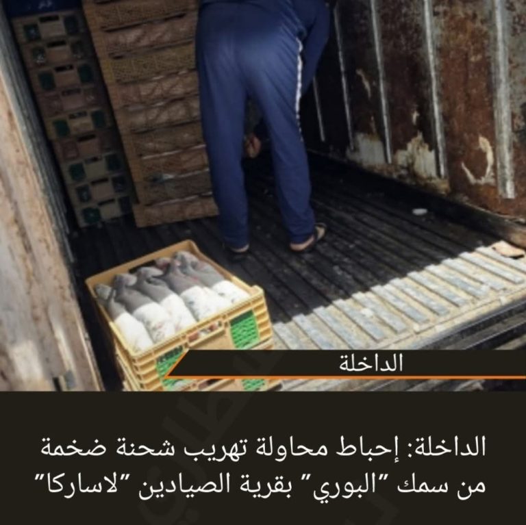 الداخلة: إحباط محاولة تهريب شحنة ضخمة من سمك “البوري” بقرية الصيادين “لاساركا”