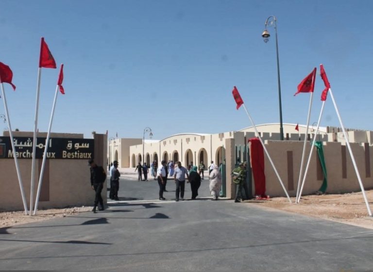 نفاذ الأغنام بسوق العيون يفتح الباب أمام “الشناقة” لرفع الأسعار ويثير سخط المواطنين