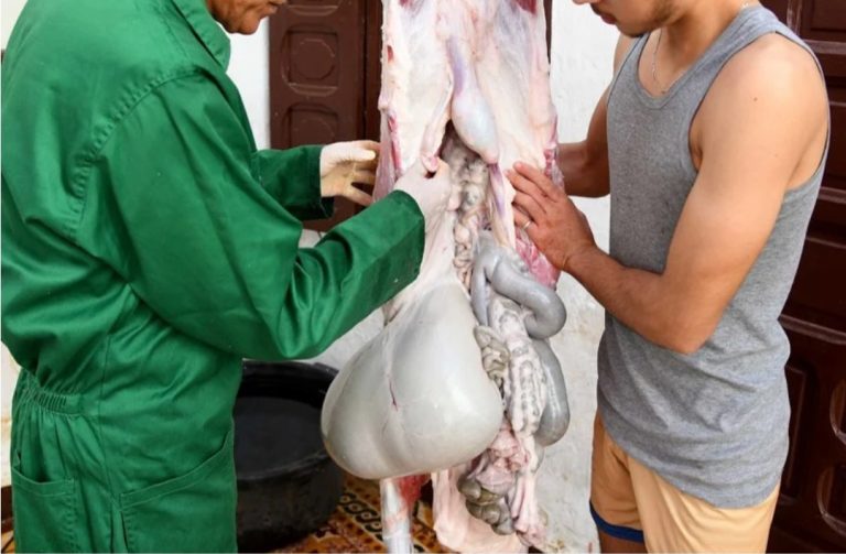خبراء يحذرون المغاربة من مخاطر الحرارة على اللحوم في عيد الأضحى
