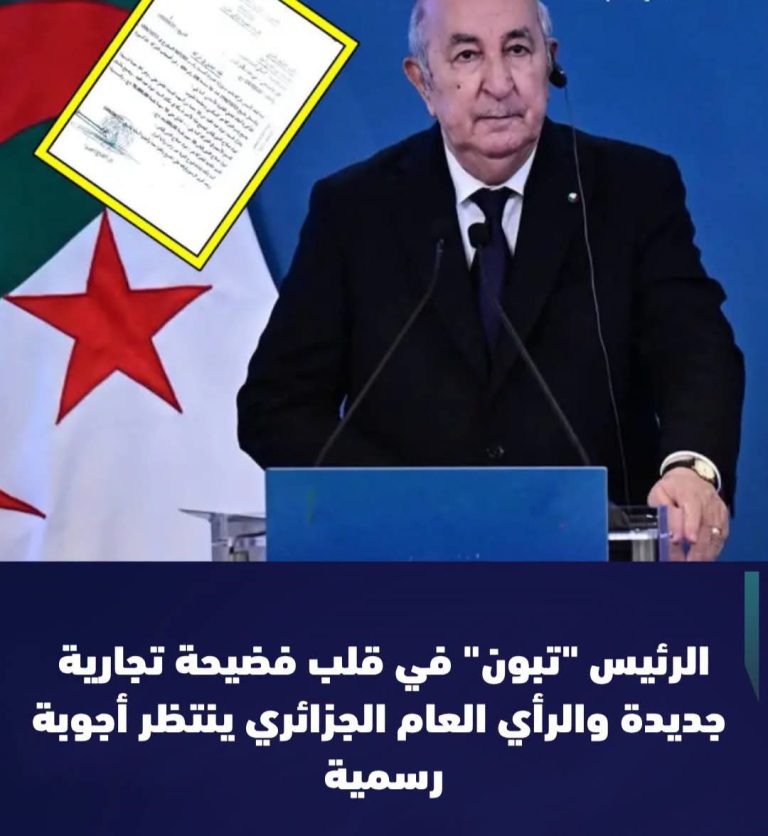 ​”أمير ديزاد” ينشر وثيقة من التسعينيات تربط اسم الرئيس تبون ونجله بشركة في أدرار