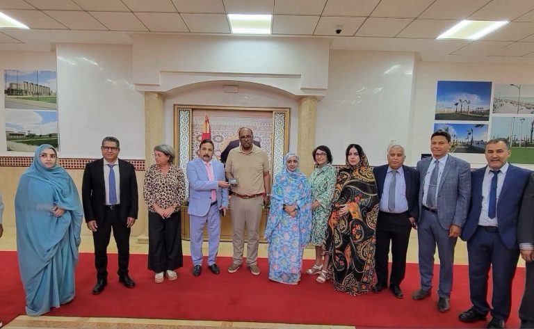 رئيس جهة العيون الساقية الحمراء يستقبل وفداً من خبراء المجلس الاقتصادي والاجتماعي والبيئي