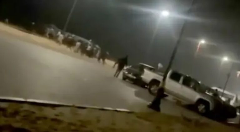 إحباط محاولتي هجرة غير نظامية بفم الواد وتوقيف نحو 80 شخصا