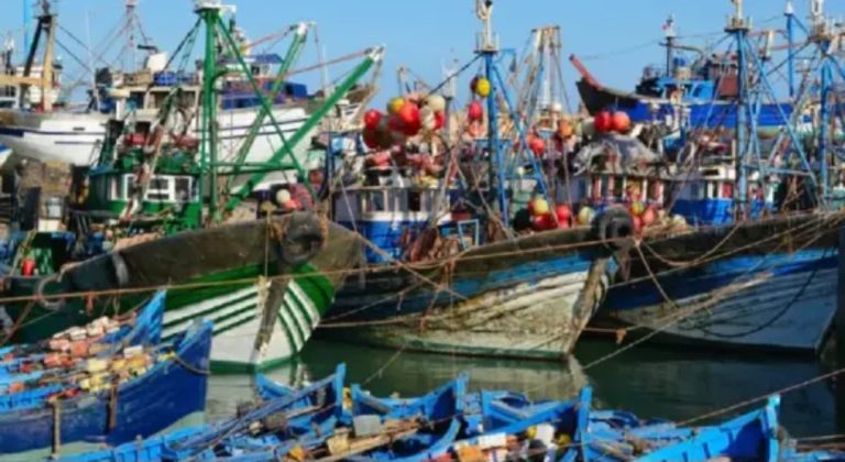 تفريغات الصيد بميناء العيون تقفز لـ36% وتتجاوز قيمتها 1.35 مليار درهم