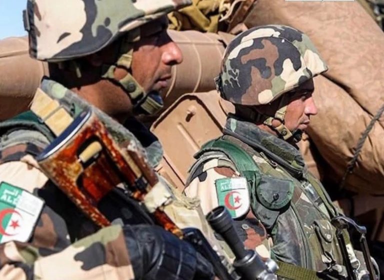 البرلمان الجزائري يصادق على مقترح إرسال قوات عسكرية إلى النيجر لحماية منشآت الطاقة
