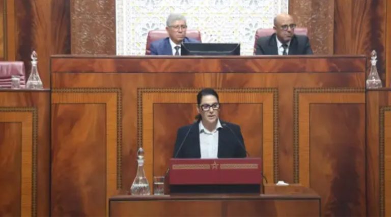 المنصوري تجدد التزام الحكومة بالدفاع عن مغربية الصحراء وتوسيع الدعم الدولي لمبادرة الحكم الذاتي
