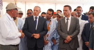 بوجدور.. مشروع لغرس 200 ألف شتلة زيتون لتعزيز الاستثمار الفلاحي